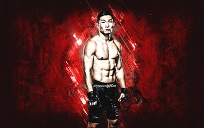Jin Soo Son, MMA, UFC, South Korean fighter, red stone background, Jin Soo Son art, Ultimate Fighting Championship