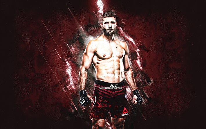 Jiri Prochazka, MMA, UFC, tjeckisk fighter, vinr&#246;d sten bakgrund, Jiri Prochazka konst, Ultimate Fighting Championship