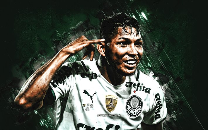 Rony, Palmeiras, portrait, Brazilian footballer, Sociedade Esportiva Palmeiras, Ronielson da Silva Barbosa