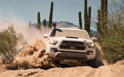 Toyota Tacoma, 2019, 4k, front view, desert, off-road, exterior, new white Tacoma, American cars, SUV, cactuses, Toyota