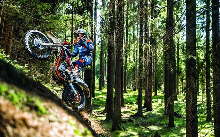 KTM Freeride250F, 2020, クロス-カンバイク, 森林に乗って, モトクロス, 新Freeride250F, オーストリアの二輪車, KTM