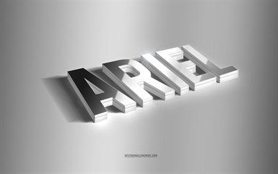 Ariel, silver 3d art, gray background, wallpapers with names, Ariel name, Ariel greeting card, 3d art, picture with Ariel name