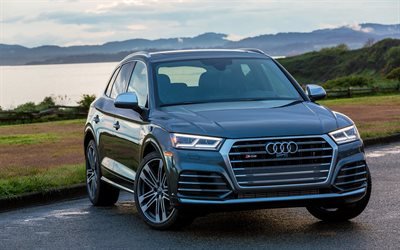 crossovers, Audi SQ5, german cars, 2018 cars, gray sq5, Audi