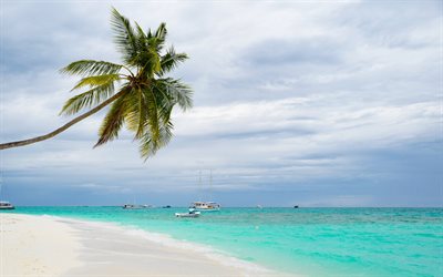 tropical island, palm tree, blue lagoon, sea, beach, white sand, boats, summer travels