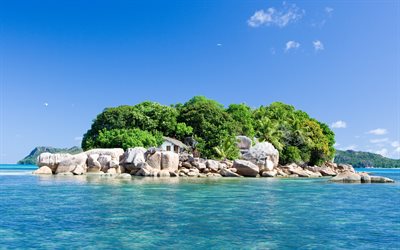 Isola, oceano, estivo, tropicale, Seychelles, paradiso