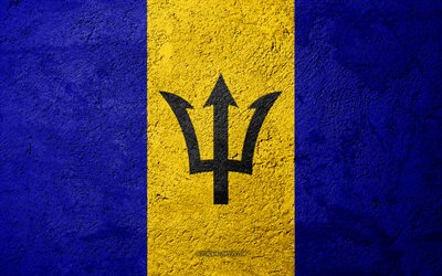 Flag of Barbados, concrete texture, stone background, Barbados flag, North America, Barbados, flags on stone