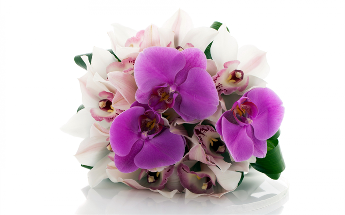 bouquet d&#39;orchid&#233;es, bouquet de mariage, les orchid&#233;es, le bouquet de la mari&#233;e, orchid&#233;es violettes, de belles fleurs, des orchid&#233;es sur fond blanc, floral, fond