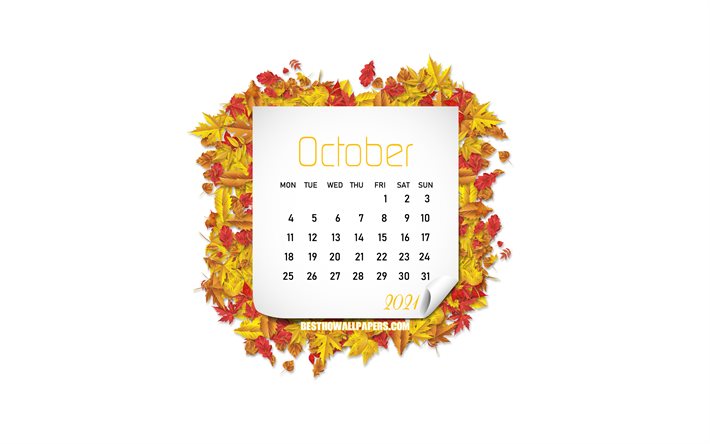 Calendrier octobre 2021, 4k, feuilles d&#39;automne, fond blanc, octobre, cadre automne, calendrier octobre 2021, art cr&#233;atif