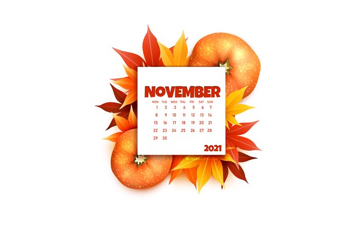 november-kalender 2021, 4k, wei&#223;er hintergrund, herbstelement, 3d-k&#252;rbis, november 2021-kalender, 2021-konzepte, november