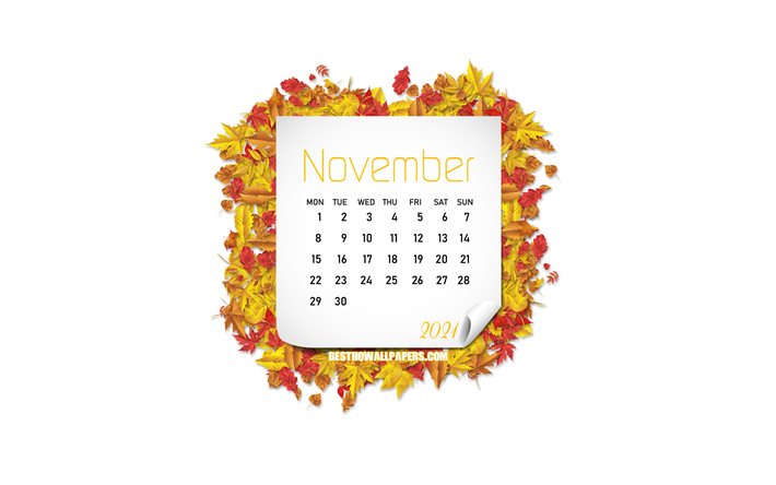 Kasım 2021 Takvimi, 4k, sonbahar yaprakları, Kasım, beyaz arka plan, sonbahar &#231;er&#231;evesi, 2021 Kasım Takvimi, yaratıcı sanat