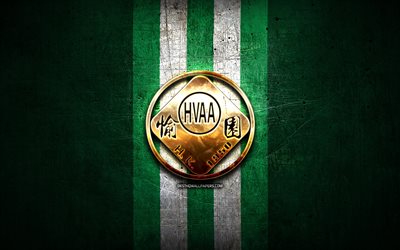 Happy Valley AA FC, golden logo, Hong Kong Premier League, green metal background, football, Hong Kong football club, HVAA, Happy Valley AA logo, HVAA logo, soccer, Happy Valley AA