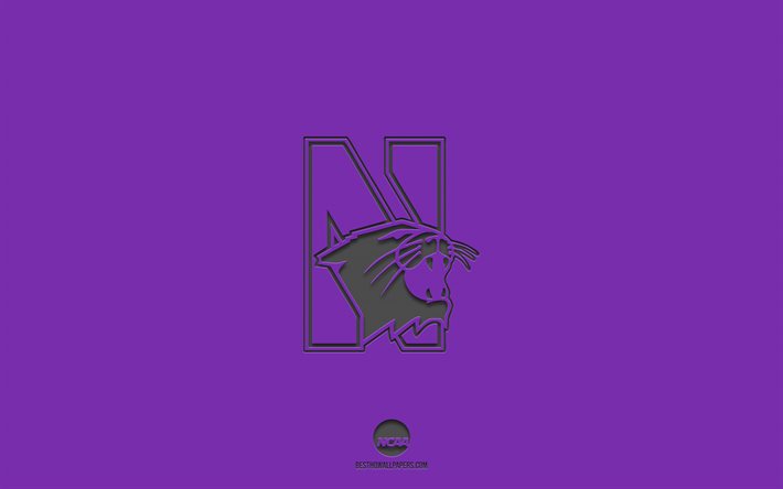 Northwestern Wildcats, mor arka plan, Amerikan futbol takımı, Northwestern Wildcats amblemi, NCAA, Illinois, ABD, Amerikan Futbolu, Northwestern Wildcats logosu
