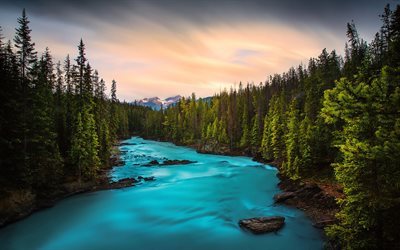 floresta, rio, rio de montanha, p&#244;r do sol, Yoho National Park, British Columbia, Canad&#225;