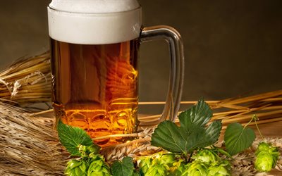 bira, şerbet&#231;iotu, bira kupa, bardak, buğday