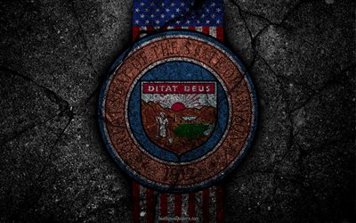 Silah silah Arizona State ceket, grunge, Arizona Sembolizm, Arizona arması, Amerikan bayrağı, Arizona ceket, USA