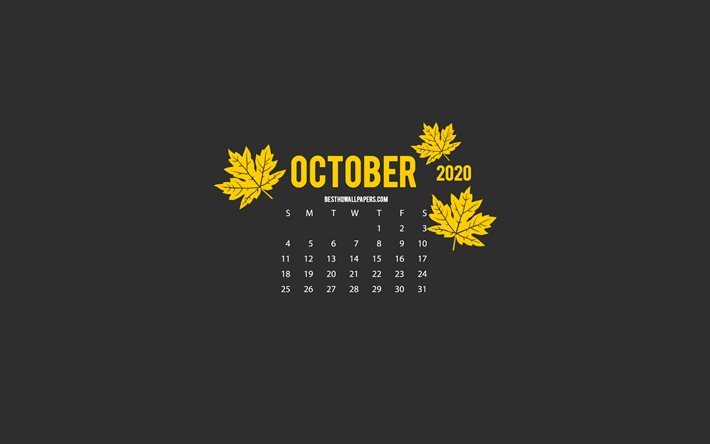 Lokakuun 2020 kalenteri, minimalismityyli, harmaa tausta, lokakuun 2020 kalenteri, syksy, 2020 kalenterit, harmaa 2020 lokakuun kalenteri, luova taide