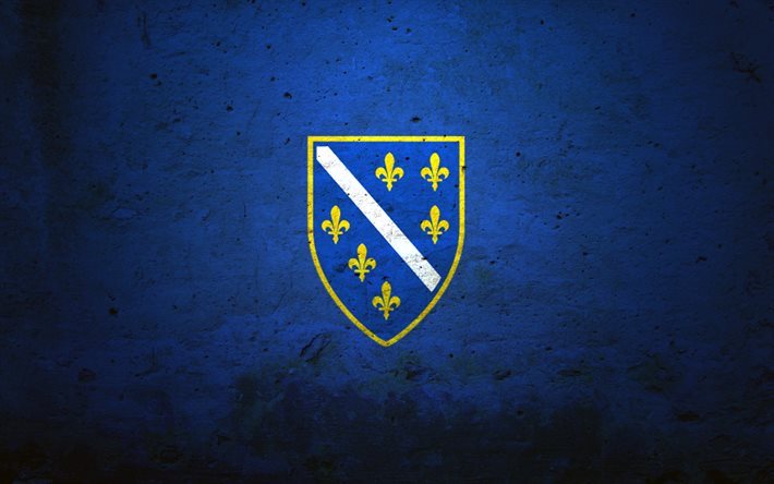 Bosnia y Herzegovina bandera, la piedra, la bandera de Bosnia y Herzegovina, banderas