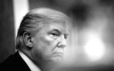 Donald Trump, American president, USA, portrait, monochrome, 45th US President