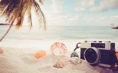 summer travel, concepts, sand, beach, camera, beach accessories, seashells, palm trees, sunset