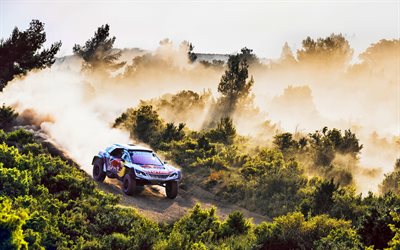 Peugeot 3008, Dakar Rally 2018, Dune buggy, race, rally car