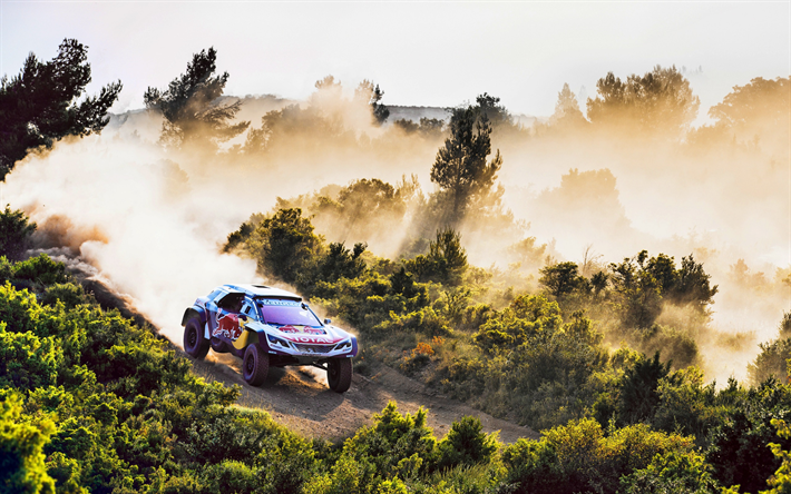 Download wallpapers Peugeot 3008, Dakar Rally 2018, Dune buggy, race, rally  car for desktop free. Pictures for desktop free