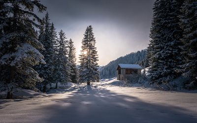 winter, forest, snow, mountain landscape, sunset, Switzerland, hut