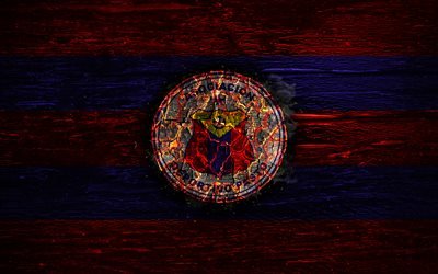 Deportivo Pasto FC, fire logo, Liga Aguila, red and blue lines, Colombian football club, grunge, football, Categoria Primera A, soccer, Deportivo Pasto logo, wooden texture, Colombia