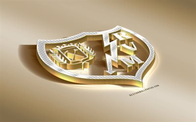 Rayo Vallecano, İspanyol Futbol Kul&#252;b&#252;, altın g&#252;m&#252;ş logo, Madrid, İspanya, UEFA, 3d altın amblemi, yaratıcı 3d sanat, futbol, LaLiga