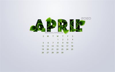 April 2020 Calendar, eco concept, green leaves, white background, 2020 spring calendar, 2020 concepts, 2020 April Calendar