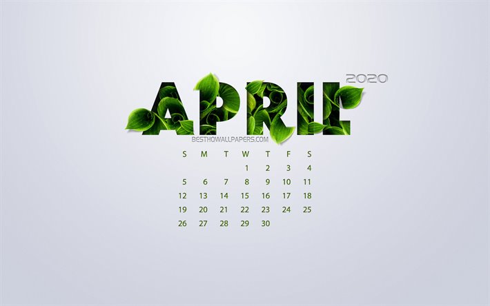 April 2020 Calendar, eco concept, green leaves, white background, 2020 spring calendar, 2020 concepts, 2020 April Calendar