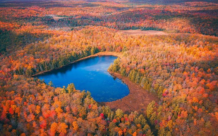 ハートレイク, 秋, 美しい湖, 湖の中心, ロマンチックな場所, オンパー, Ontario, カナダ