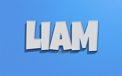 Liam, sfondo a linee blu, sfondi con nomi, nome Liam, nomi maschili, biglietto di auguri Liam, disegni al tratto, foto con nome Liam