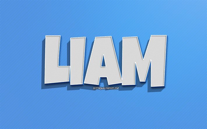 Liam, fond de lignes bleues, fonds d&#39;&#233;cran avec noms, nom de Liam, noms masculins, carte de voeux Liam, dessin au trait, photo avec nom de Liam