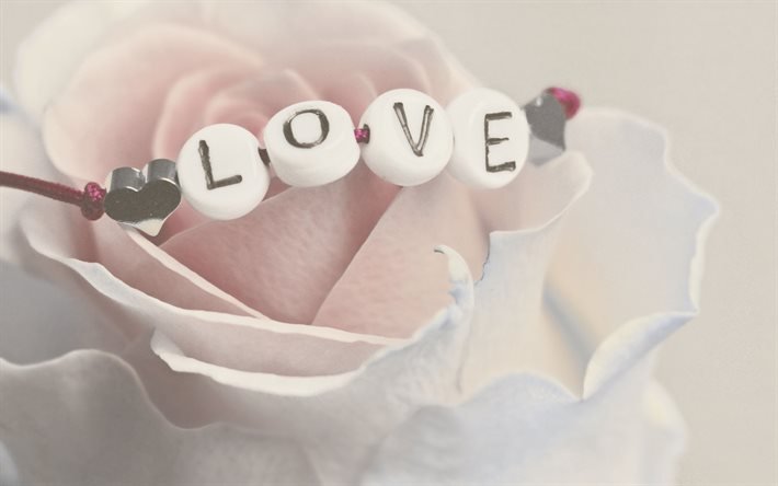 Love, bracelet, white rose, word love on rose, romance, love concepts, love pink background