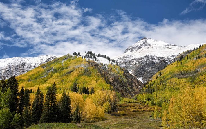 montagne, for&#234;t, automne, Alpes, rock