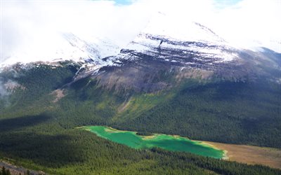Calling Lake, mountain lake, Alberta, Canada, forest, 4k, Rocky Mountains