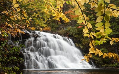 Gillis Lake Falls, outono, cachoeira, floresta, paisagem de outono, Nova Scotia, Canada, A Ilha De Cape Breton