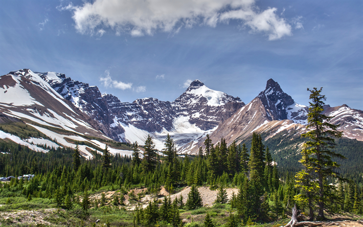 En Alberta, 4k, des montagnes, des for&#234;ts, de l&#39;&#233;t&#233;, le Parc National Banff, Canada