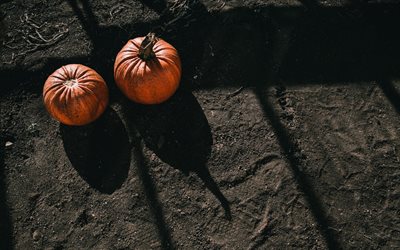 Halloween, pumpkins, earth, harvest, autumn holidays