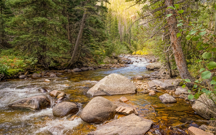 montagna, fiume, foresta, autunno, Parco Nazionale di Banff, Rocky Mountain, Canada