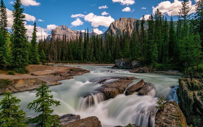Yoho National Park, river, beautiful nature, 4k, summer, British Columbia, Canada, forest, North America, HDR