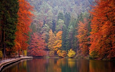 mountain lake, Alps, autumn, forest, mountains, autumn landscape, Germany, Saxon Switzerland National Park