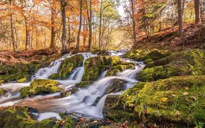 Selkefall, waterfall, autumn, yellow fallen leaves, autumn landscape, forest, Saxony, Germany, Harzgerode