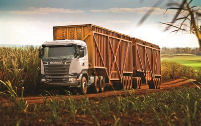 Scania R620, 4k, 2017 lastbil, nya Scania, jordbruk, lastbilar, cargo transport, 6x4, Scania