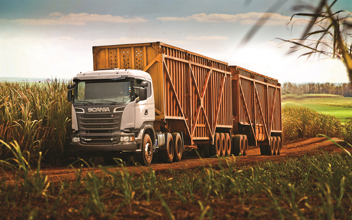 Scania R620, 4k, 2017 cami&#243;n, nuevo Scania, la agricultura, camiones, transporte de carga, 6x4, Scania