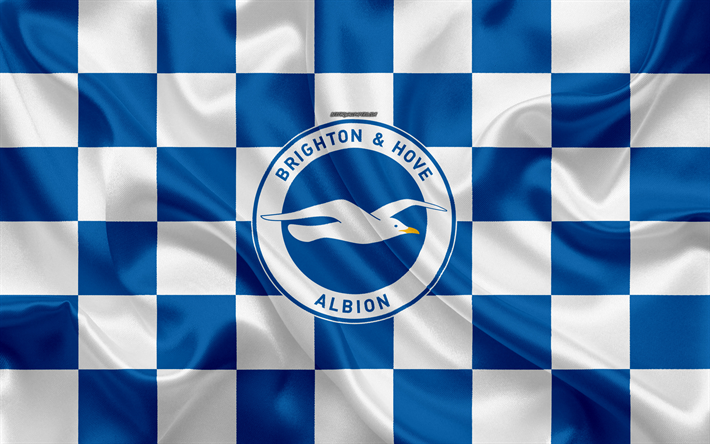 Brighton ve Hove Albion FC, 4k, logo, yaratıcı sanat, mavi ve beyaz damalı bayrak, İngiliz Futbol Kul&#252;b&#252;, İngiltere Premier Ligi, amblem, ipek doku, Brighton ve Hove, İngiltere