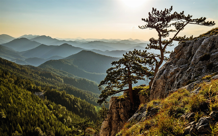 オーストリア, HDR, 夏, 山々, 森林, 岩, 松の木, 美しい自然, 欧州