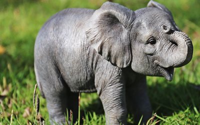 little baby elephant, newborn elephant, cute little animals, wildlife, elephants