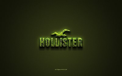 شعار هوليستر, شعار جميل أخضر, شعار فن الأزهار, نسيج من ألياف الكربون الخضراء, هوليستر, فني إبداعي
