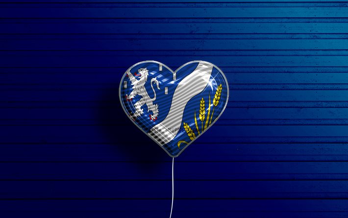 I Love Haarlemmermeer, 4k, realistiska ballonger, bl&#229; tr&#228;bakgrund, Haarlemmermeers dag, holl&#228;ndska st&#228;der, Haarlemmermeers flagga, Nederl&#228;nderna, ballong med flagga, Haarlemmermeer